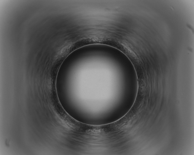 X0000091730639200708311203