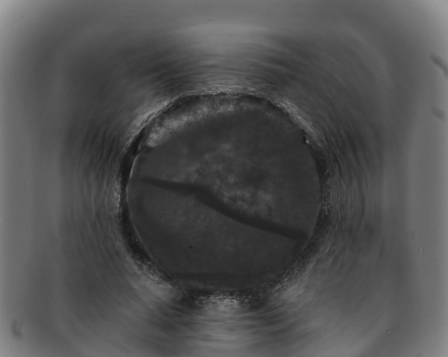 X0000091730640200708311203