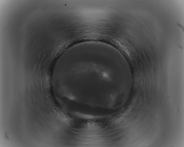 X0000091730641200708311203
