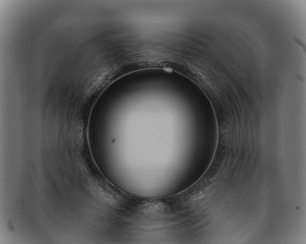 X0000091730642200708311203