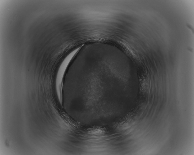 X0000091730643200708311203