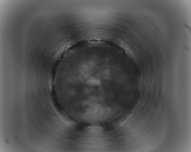X0000091730644200708311203