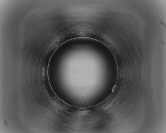 X0000091730646200708311203