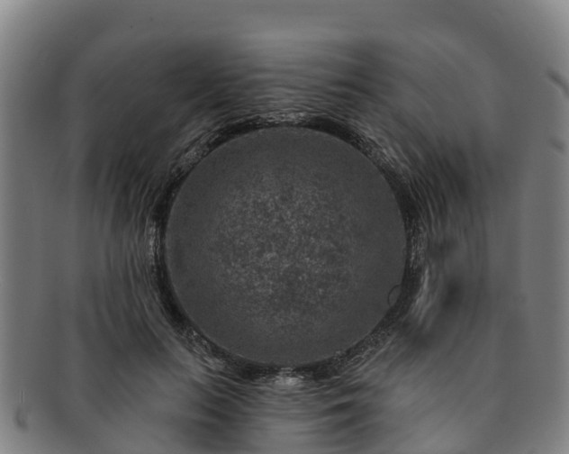 X0000091730647200708311203