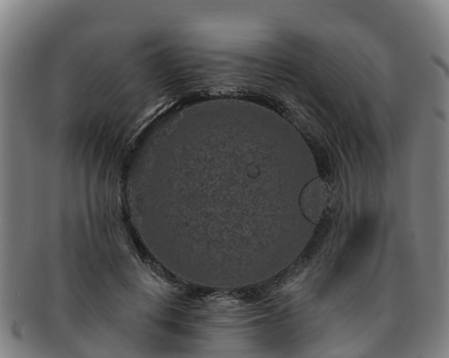 X0000091730648200708311203