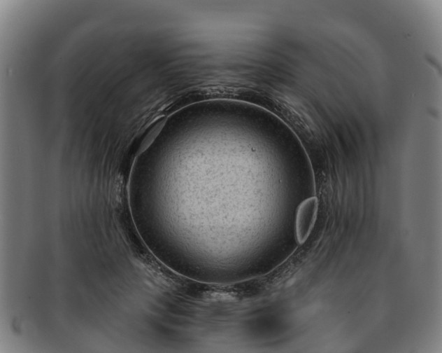 X0000091730649200708311203