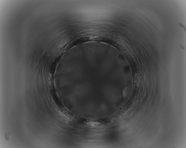 X0000091730650200708311203