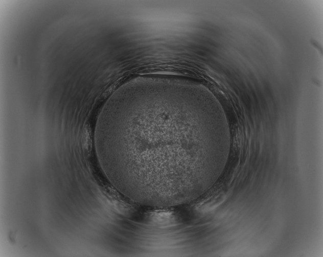 X0000091730651200708311203