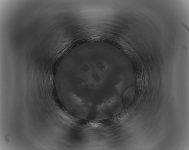 X0000091730654200708311203