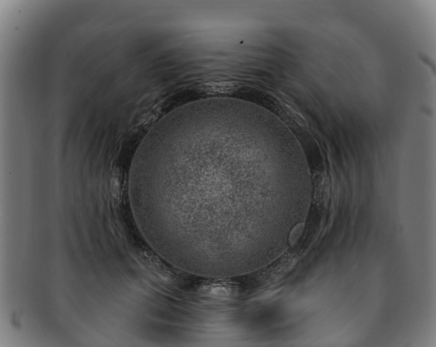 X0000091730655200708311203