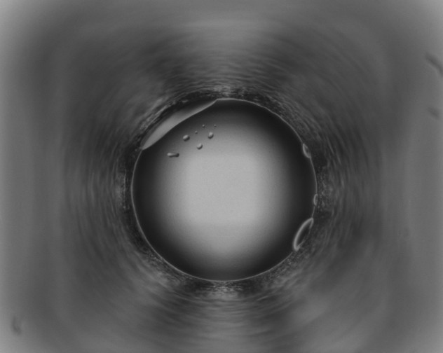 X0000091730656200708311203