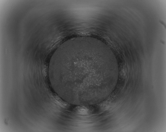 X0000091730658200708311203