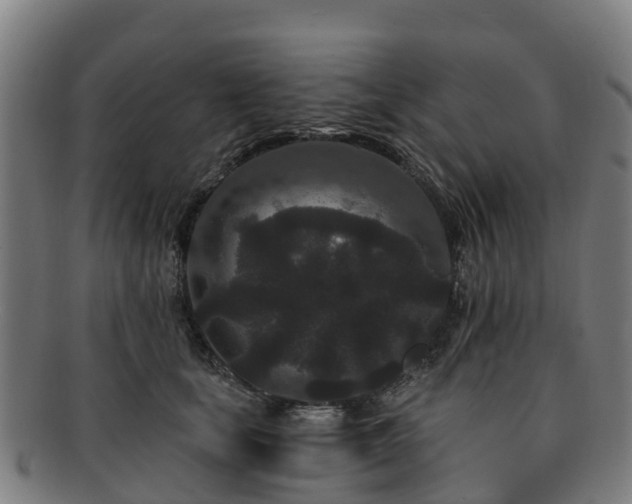 X0000091730659200708311203