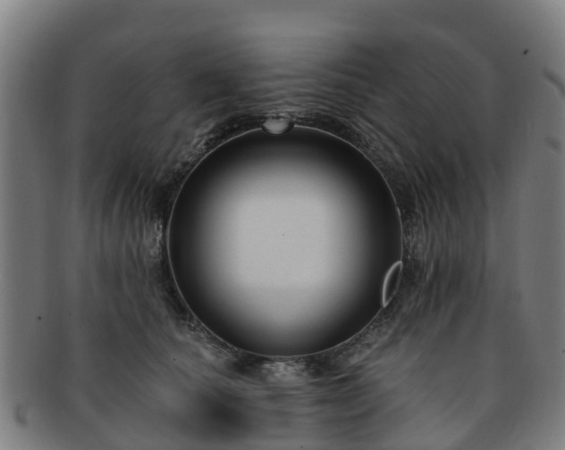 X0000091730660200708311203