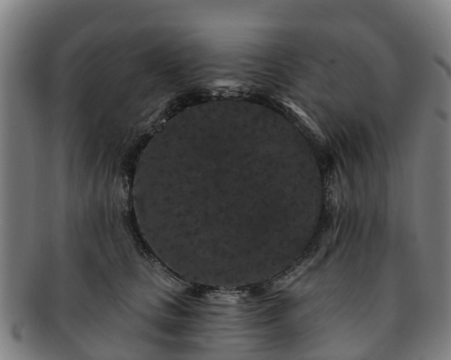 X0000091730661200708311203