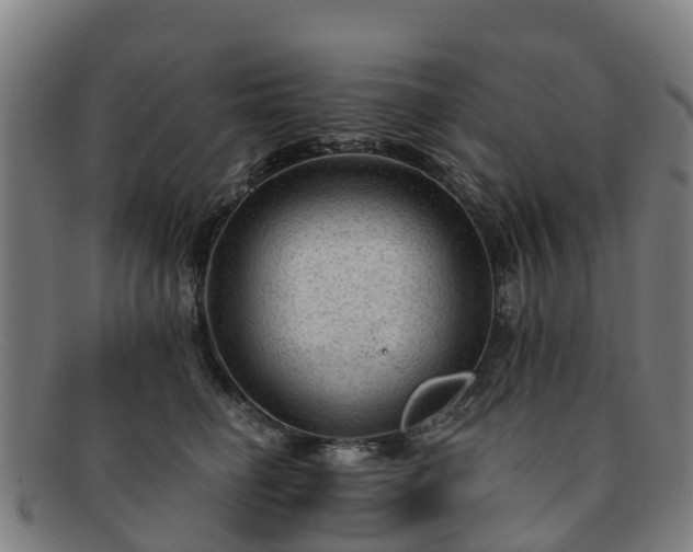 X0000091730662200708311203