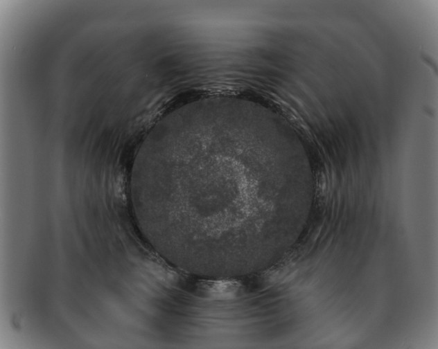 X0000091730663200708311203