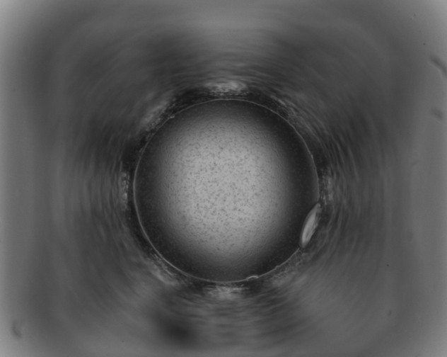X0000091730664200708311203