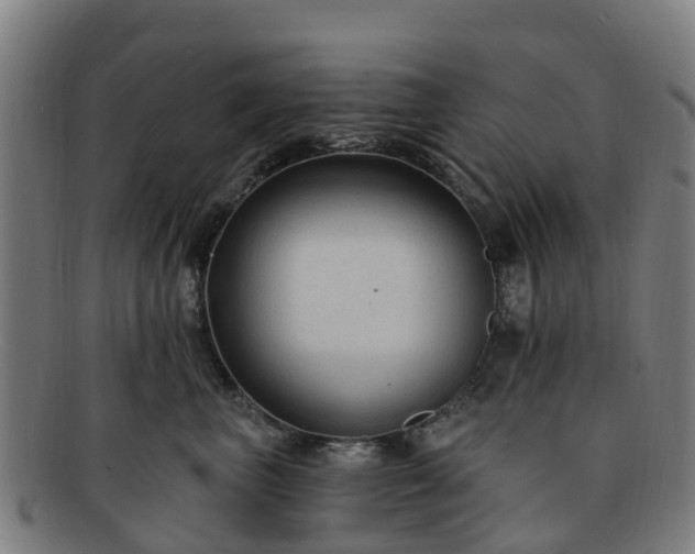 X0000091730667200708311203