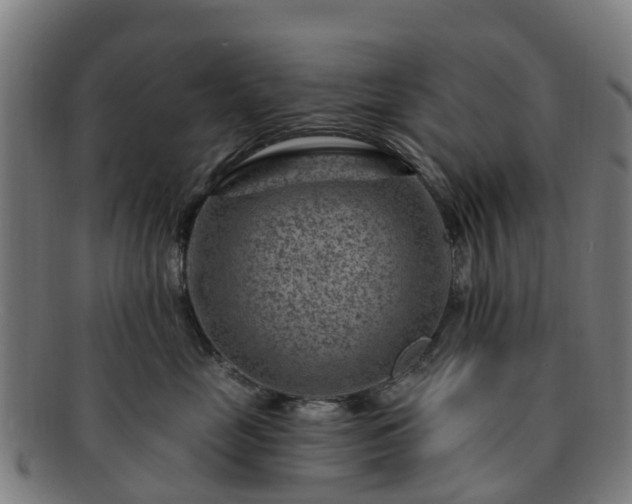 X0000091730669200708311203