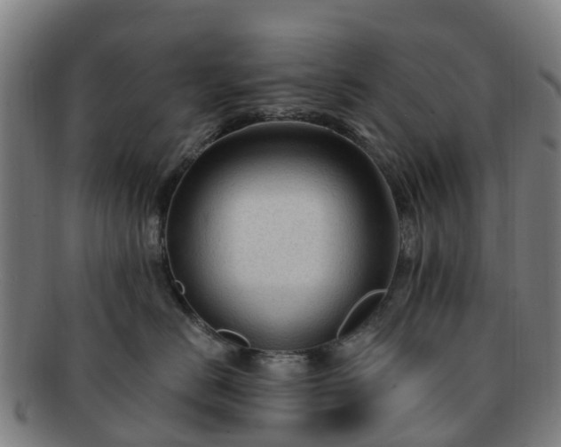 X0000091730670200708311203