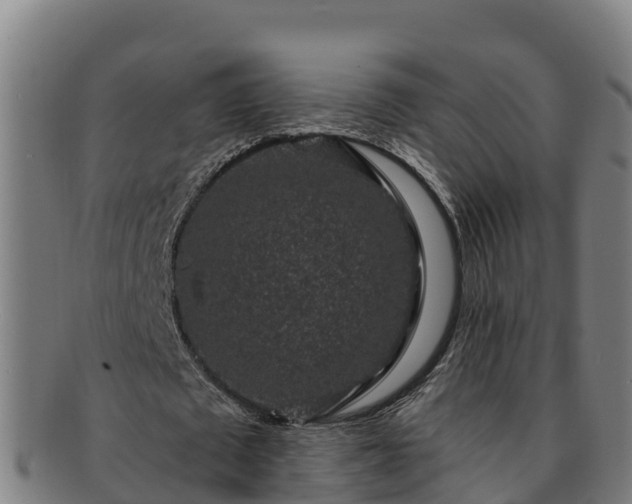 X0000091730673200708311202