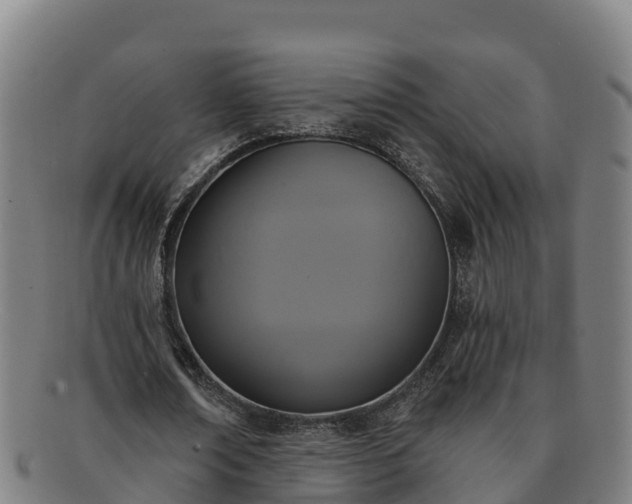 X0000091730674200708311202