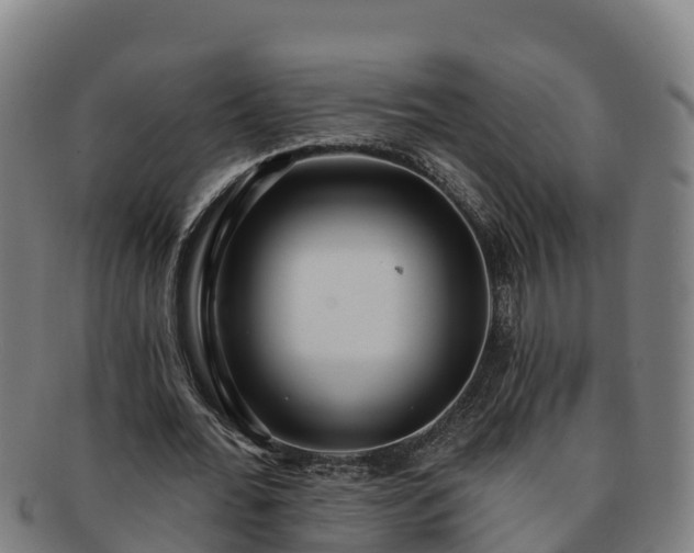 X0000091730676200708311202