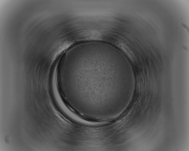 X0000091730677200708311202