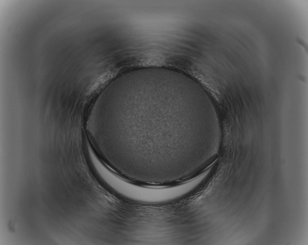 X0000091730681200708311202