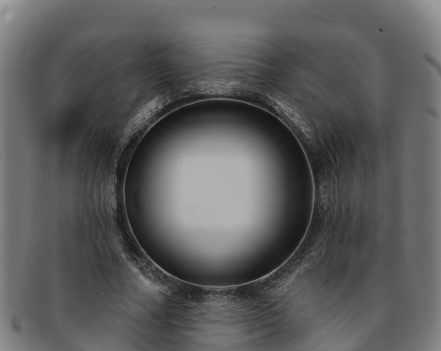 X0000091730682200708311202