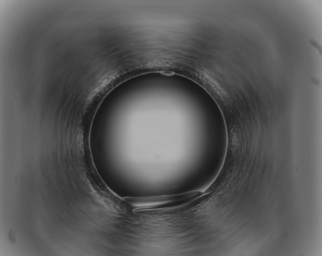 X0000091730684200708311202