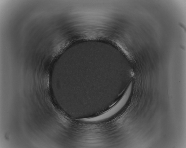 X0000091730685200708311202