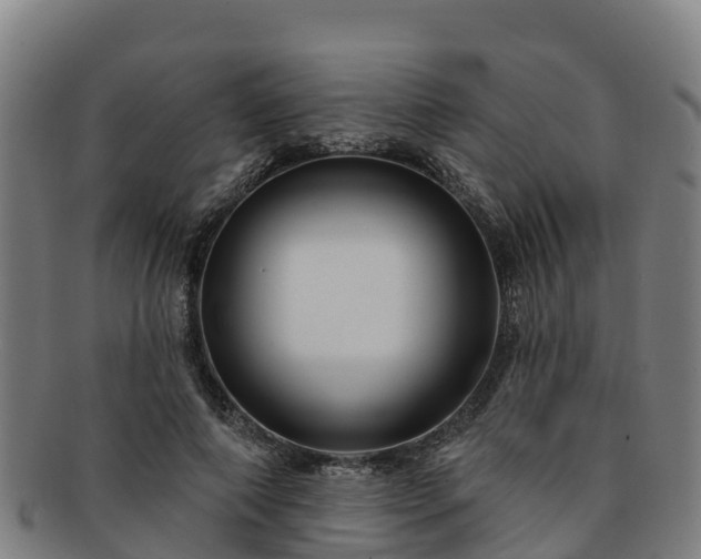 X0000091730690200708311202