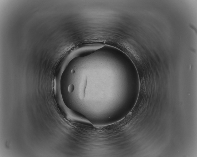 X0000091730692200708311202