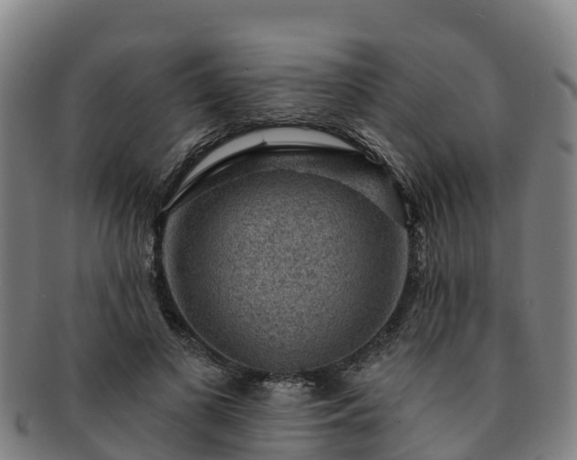 X0000091730693200708311202