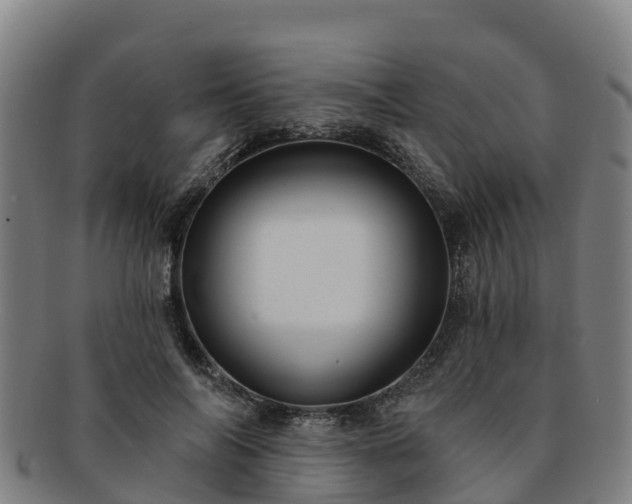X0000091730694200708311202