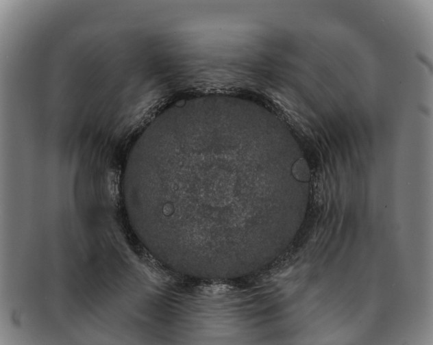 X0000091730695200708311202