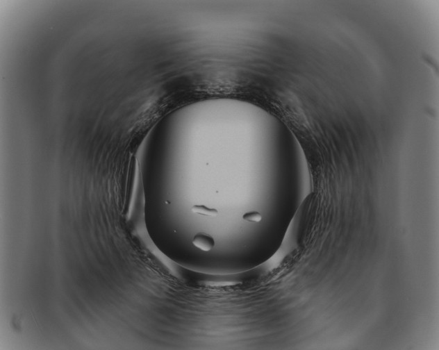 X0000091730697200708311202