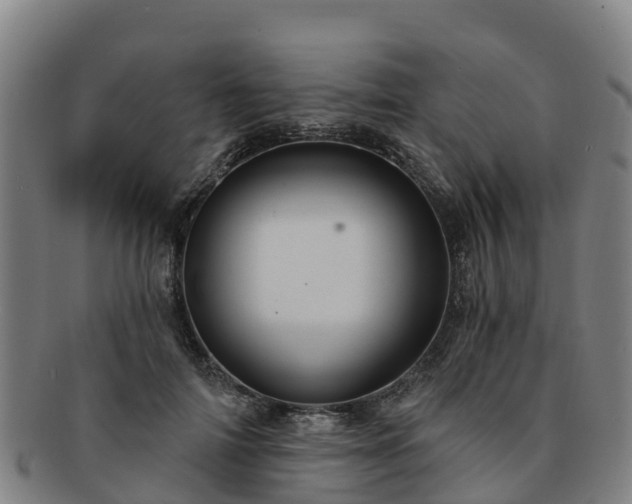 X0000091730698200708311202