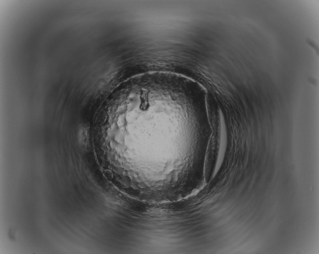 X0000091730699200708311202