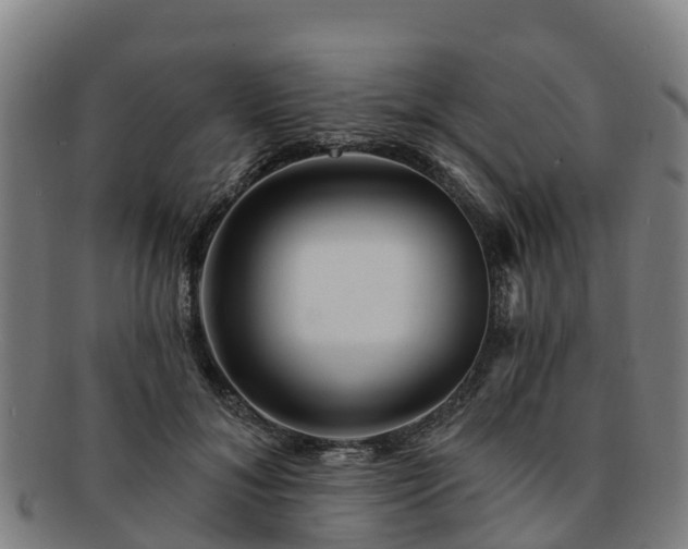 X0000091730700200708311202