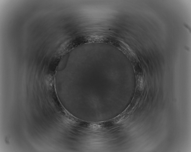 X0000091730701200708311202