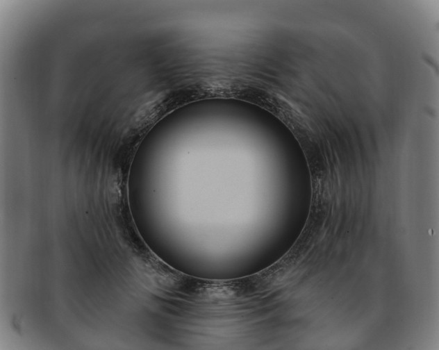 X0000091730702200708311202