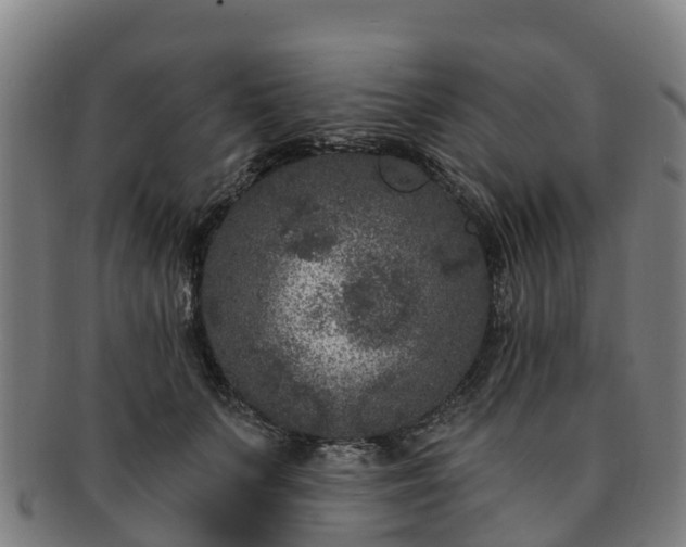 X0000091730703200708311202