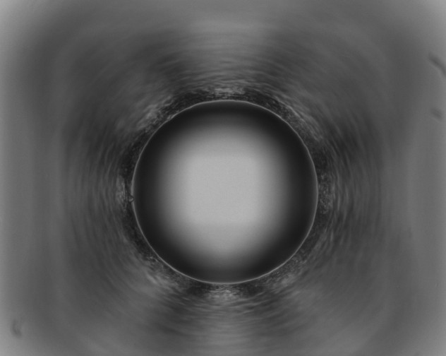 X0000091730704200708311202