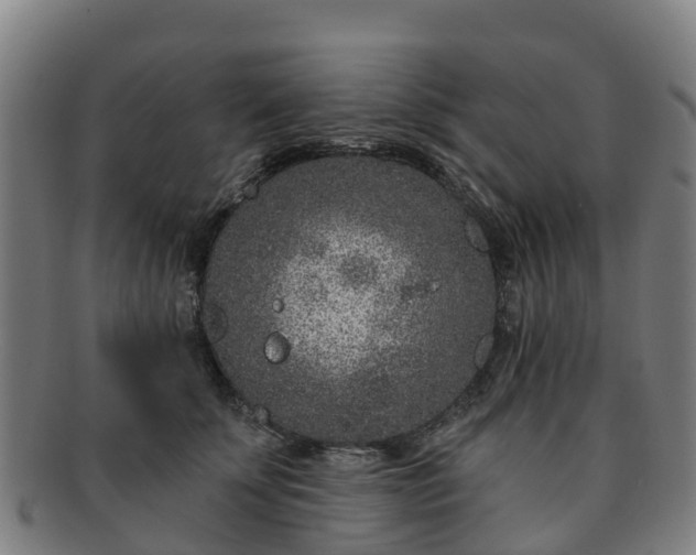 X0000091730707200708311202