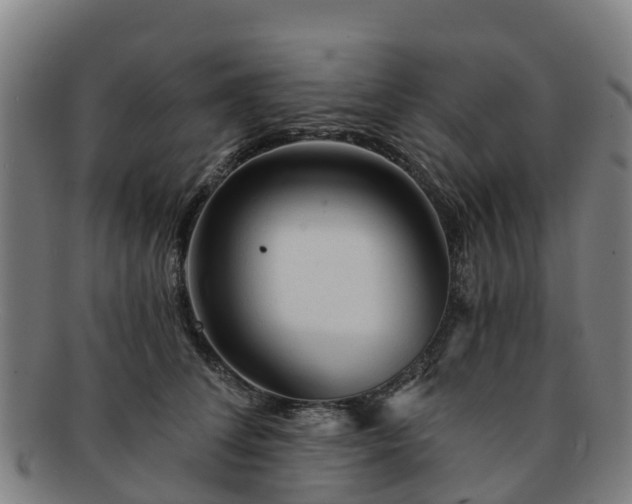 X0000091730708200708311202