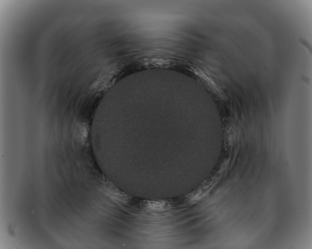 X0000091730709200708311202