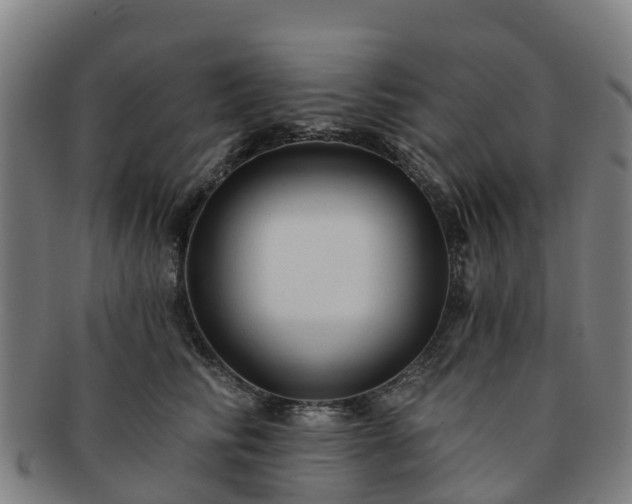 X0000091730710200708311202